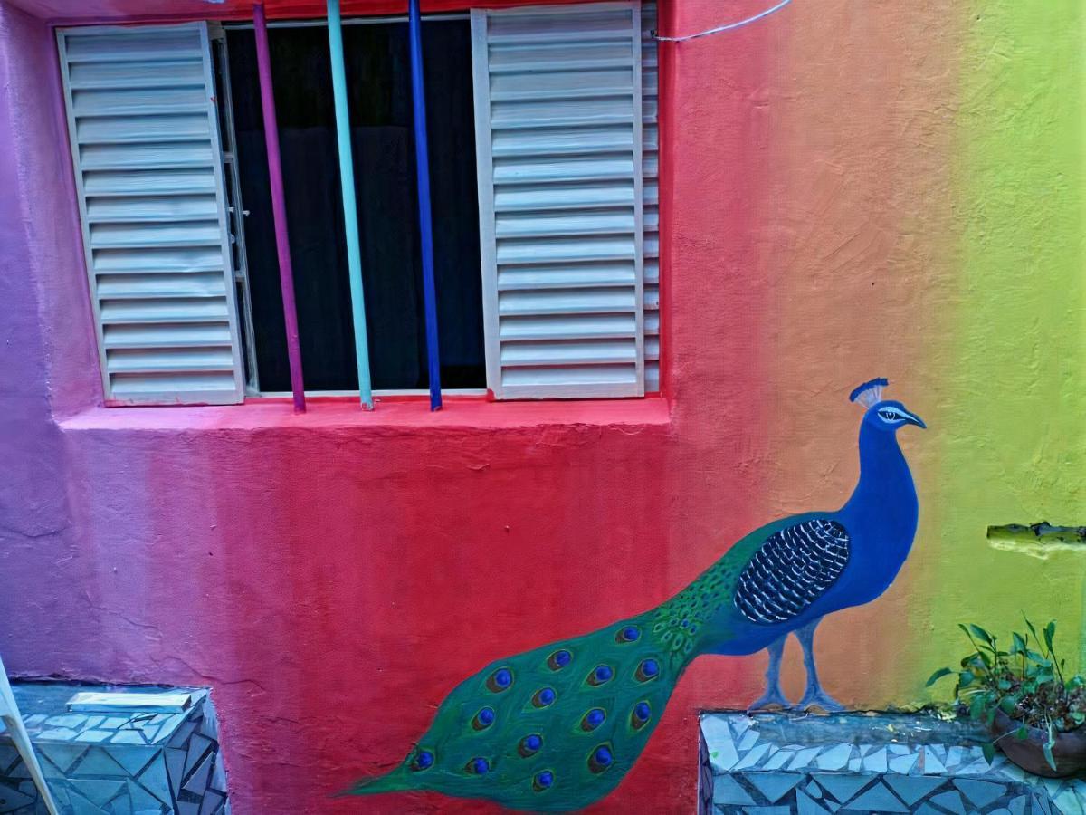 Wanderlust G São Paulo